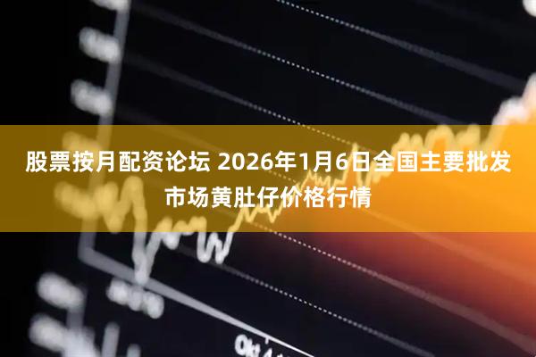股票按月配资论坛 2026年1月6日全国主要批发市场黄肚仔价格行情